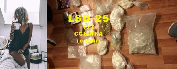 стафф Ельня