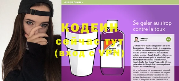 стафф Ельня