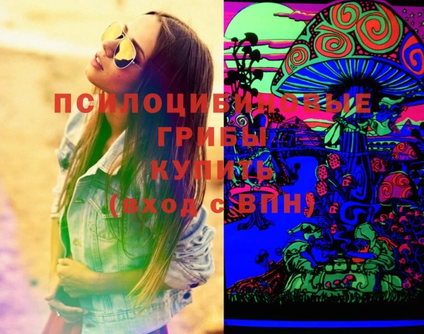 ECSTASY Елизово