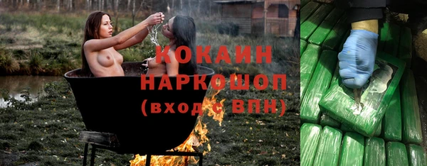 дмт Дмитриев