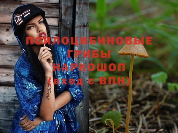 стафф Ельня