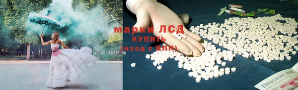 дмт Дмитриев