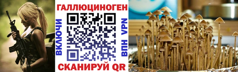 Галлюциногенные грибы Cubensis  мега как зайти  Кяхта 